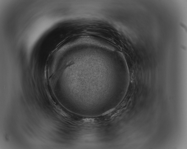 X0000093210052200710031428