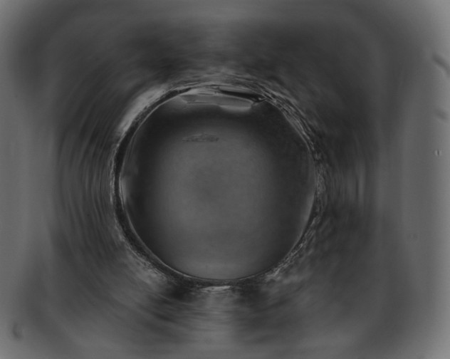 X0000093210054200710031428