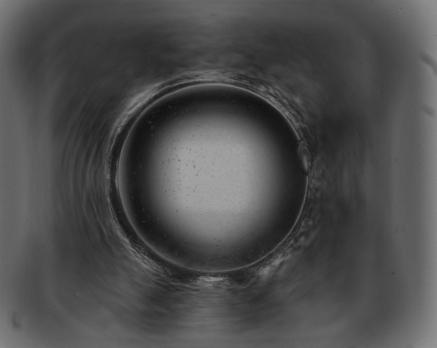 X0000093210055200710031428