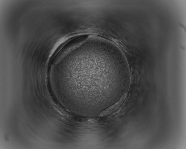 X0000093210056200710031428