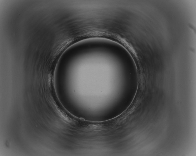 X0000093210057200710031428