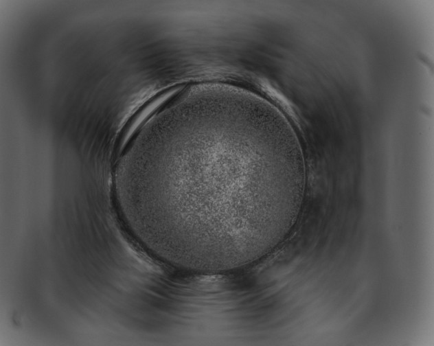 X0000093210059200710031428