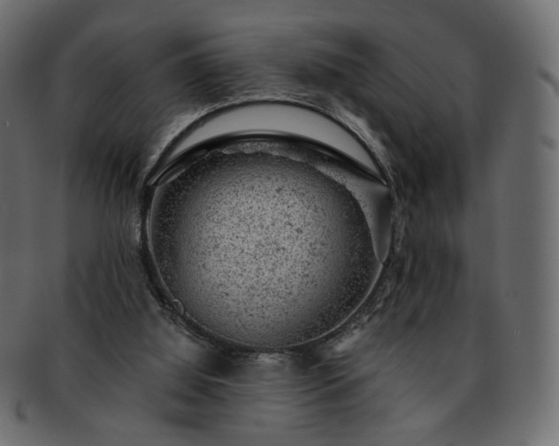 X0000093210060200710031428