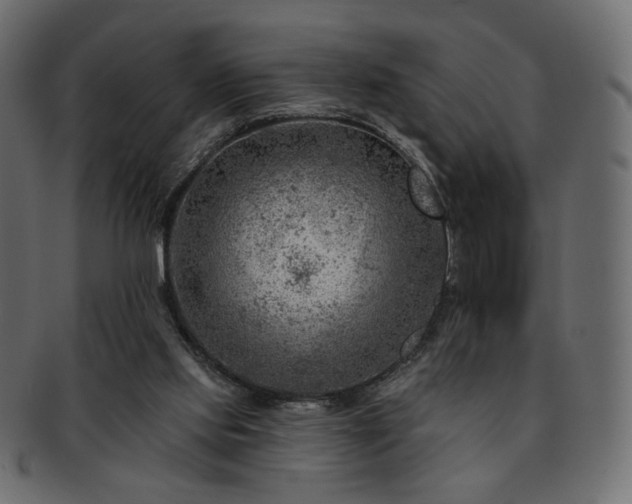 X0000093210061200710031428