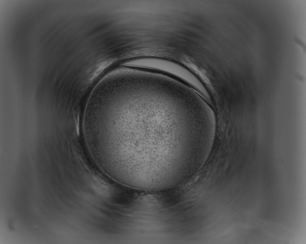 X0000093210062200710031428