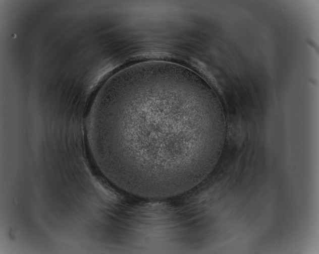 X0000093210063200710031428