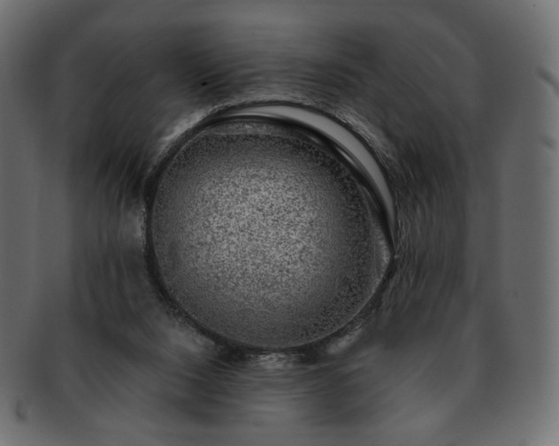 X0000093210064200710031428