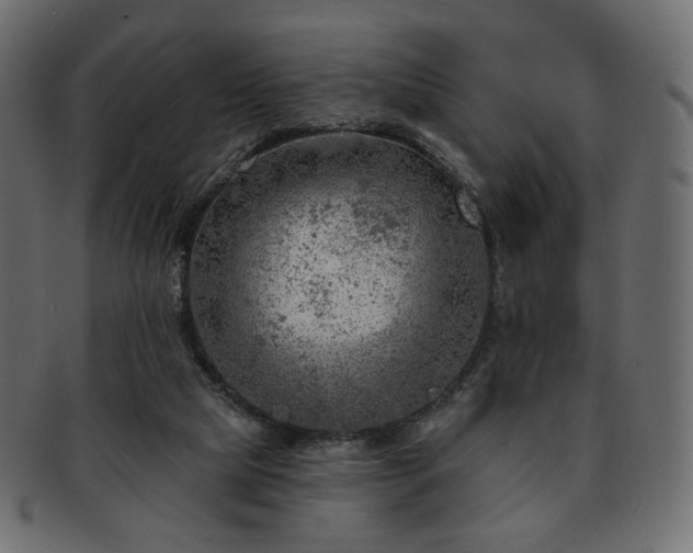 X0000093210065200710031428