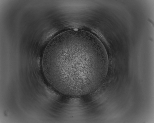 X0000093210066200710031428