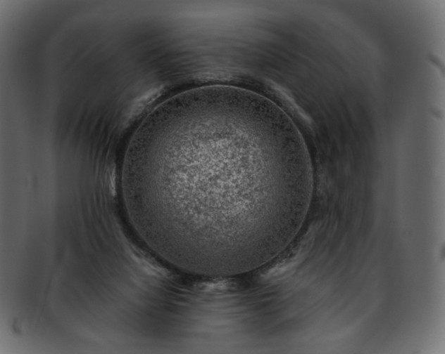 X0000093210068200710031428