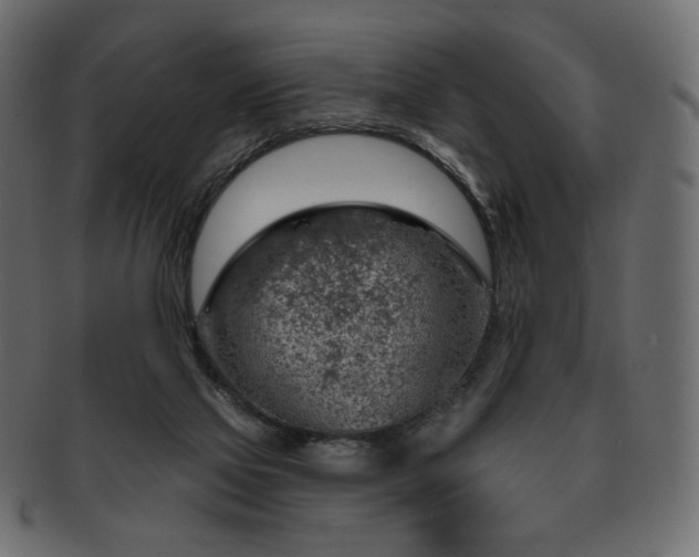 X0000093210069200710031428