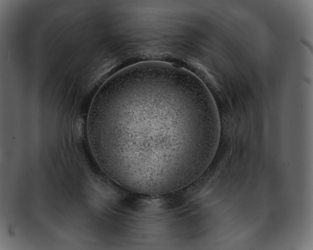 X0000093210071200710031428