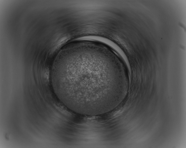 X0000093210072200710031428