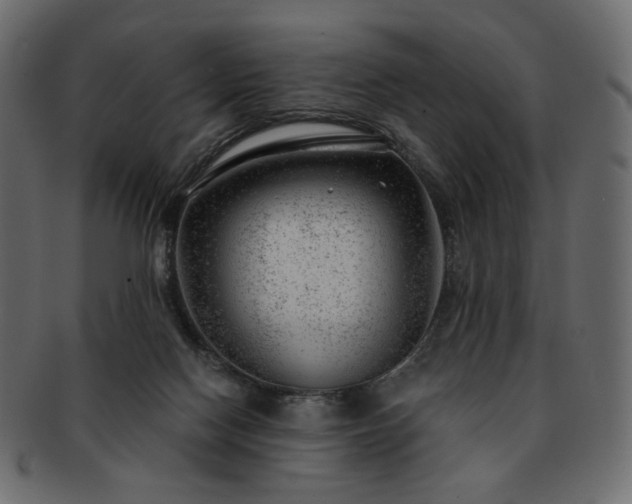 X0000093210074200710031428