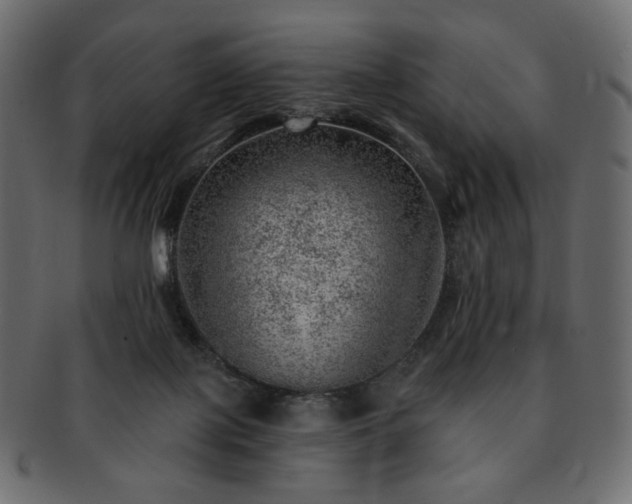 X0000093210075200710031428