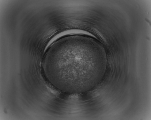 X0000093210076200710031428