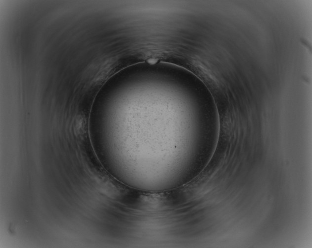 X0000093210079200710031428