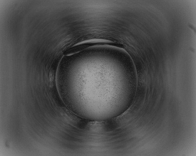 X0000093210082200710031428