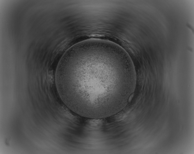 X0000093210085200710031428