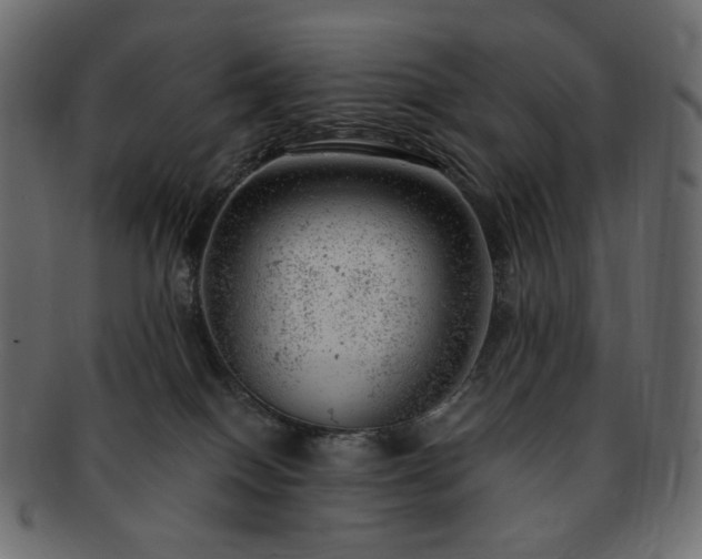 X0000093210086200710031429