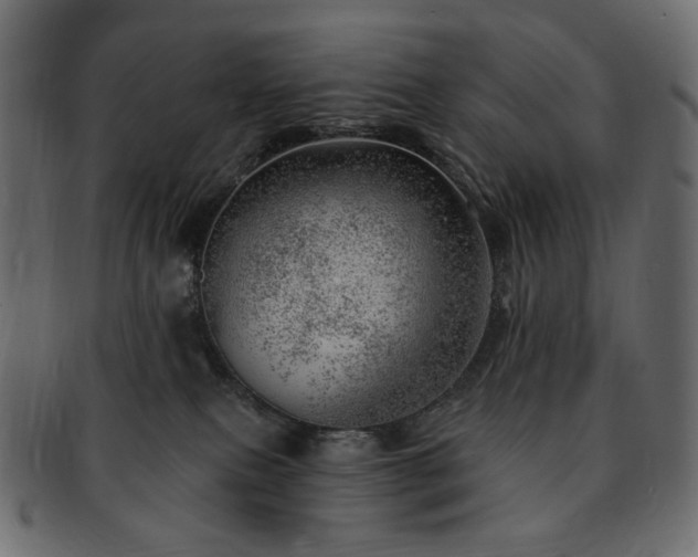 X0000093210087200710031429