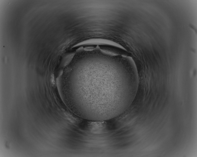 X0000093210089200710031429