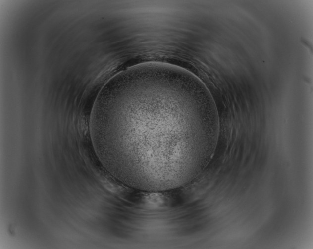 X0000093210091200710031429