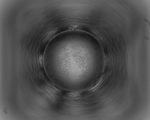 X0000093210094200710031429