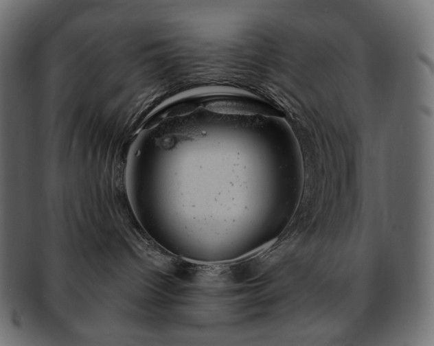 X0000093210096200710031429