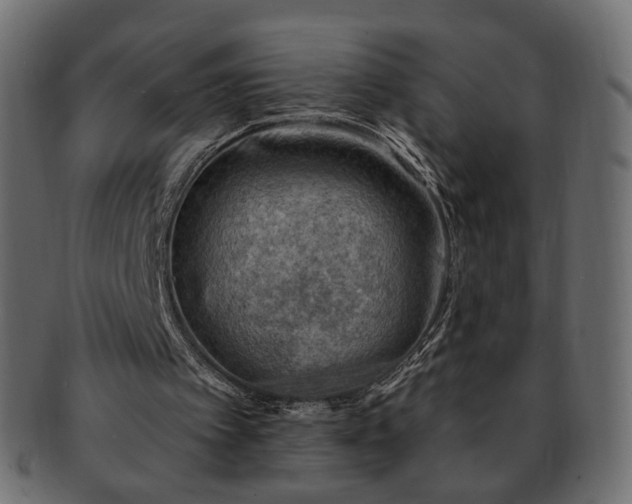 X0000093210097200710031428