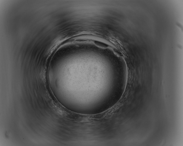 X0000093210098200710031428