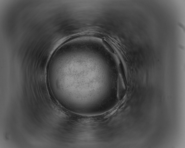 X0000093210100200710031428