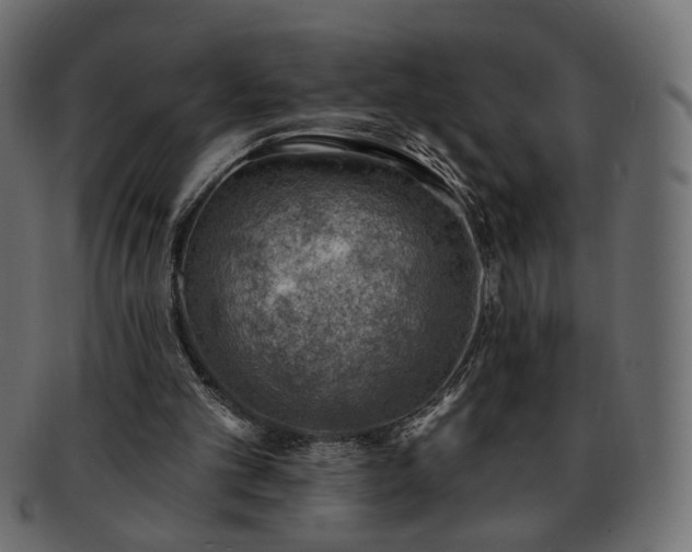 X0000093210101200710031428