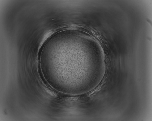 X0000093210102200710031428