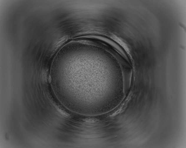 X0000093210105200710031428