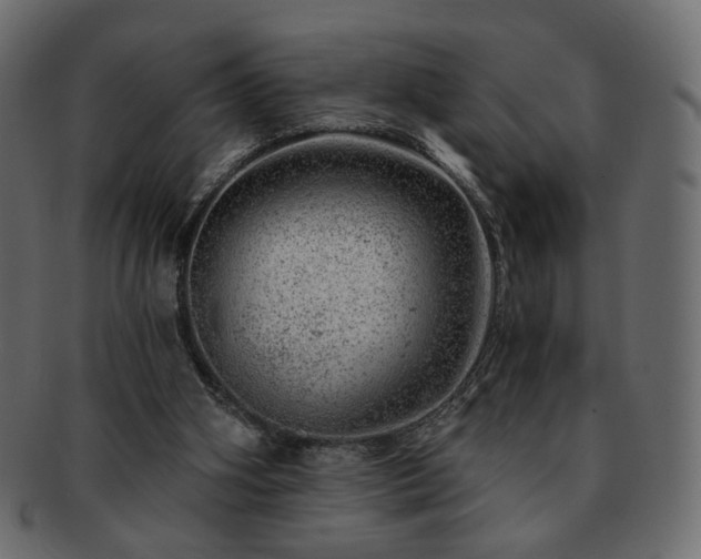 X0000093210106200710031428