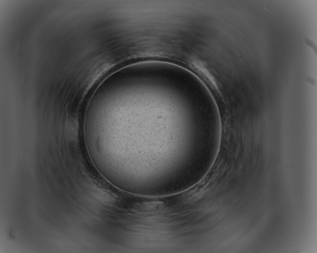 X0000093210108200710031428