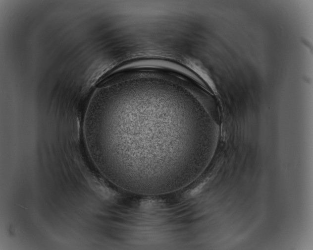 X0000093210109200710031428