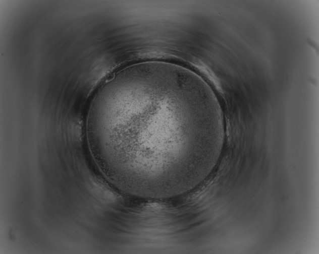 X0000093210111200710031428