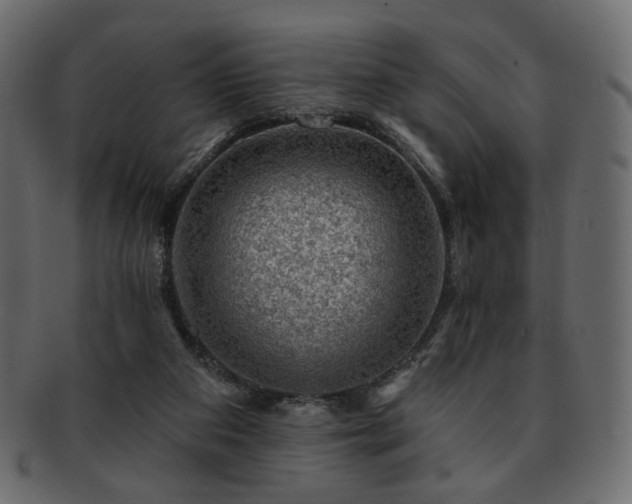 X0000093210113200710031428