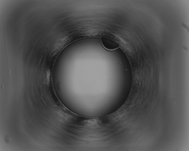 X0000093210118200710031428