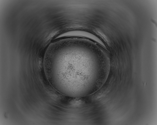 X0000093210119200710031428