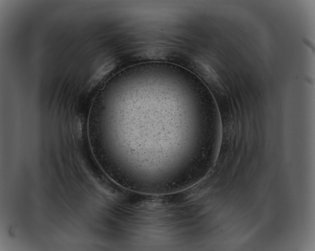 X0000093210120200710031428