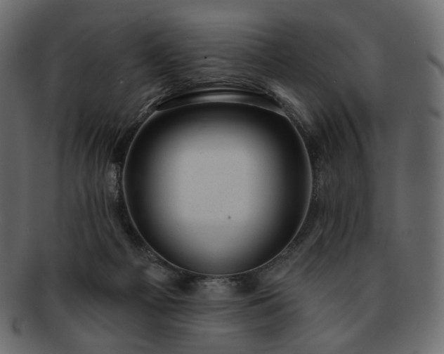 X0000093210121200710031428