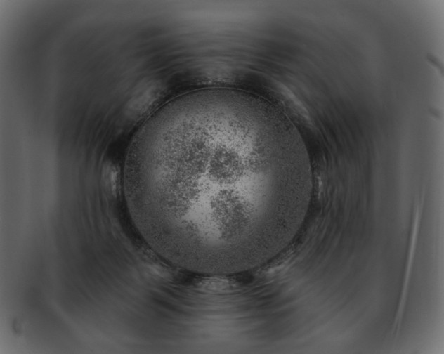 X0000093210123200710031428