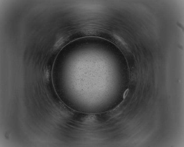 X0000093210124200710031428