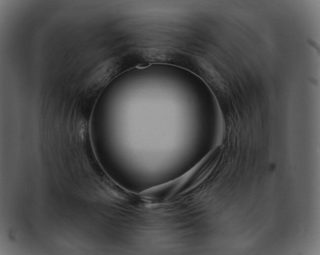 X0000093210125200710031428