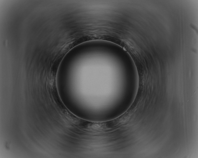 X0000093210129200710031428