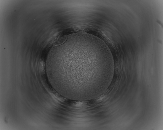 X0000093210130200710031428