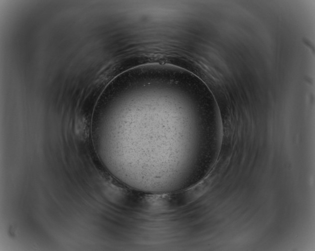 X0000093210136200710031428